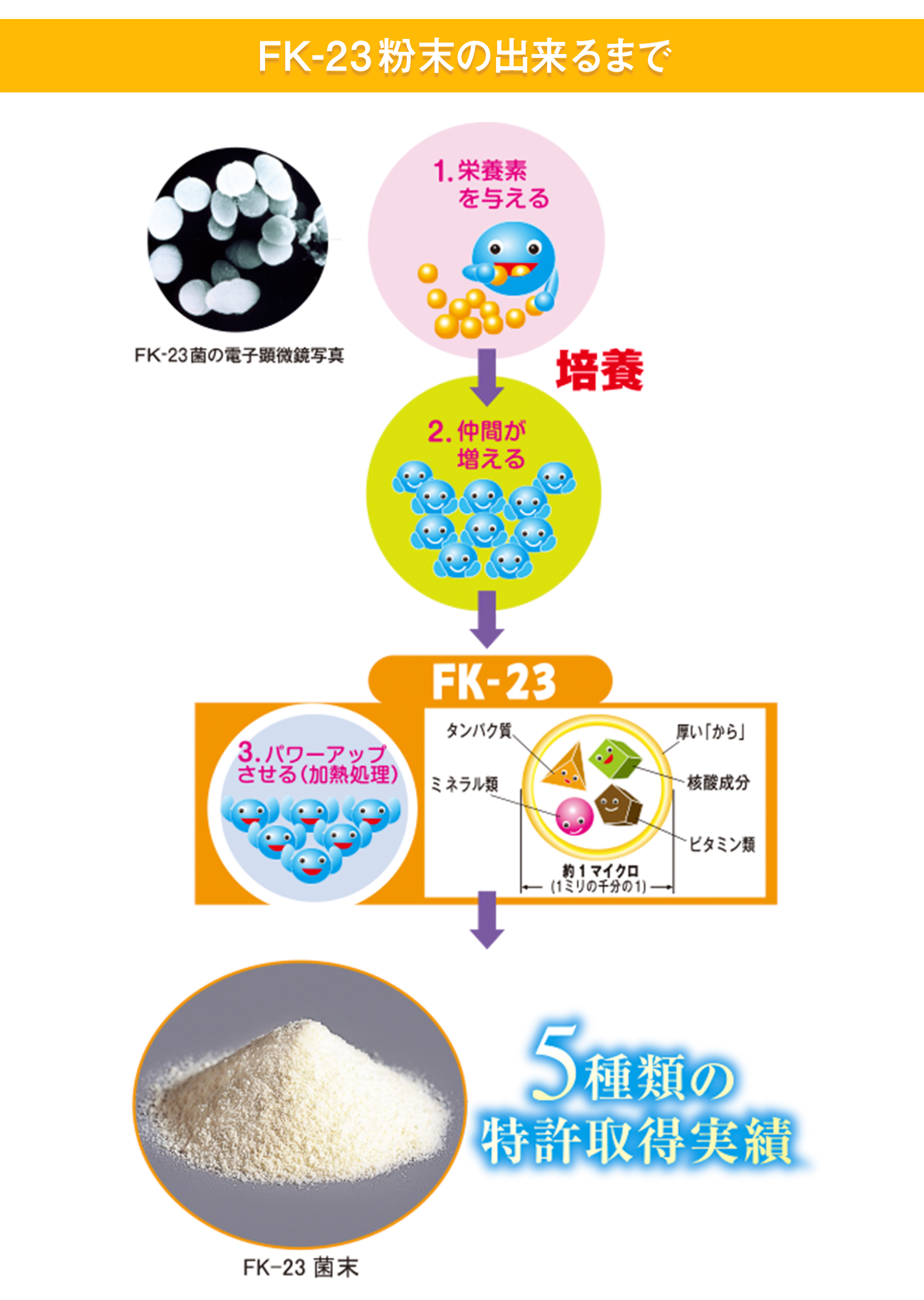 Fk-23粉末の出来るまで