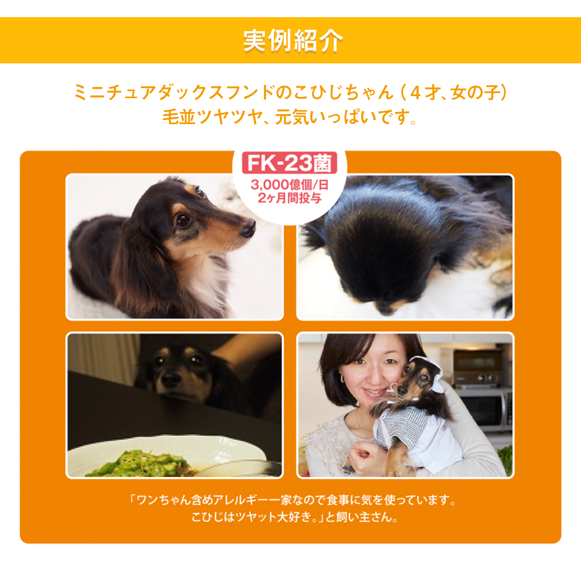 実例紹介